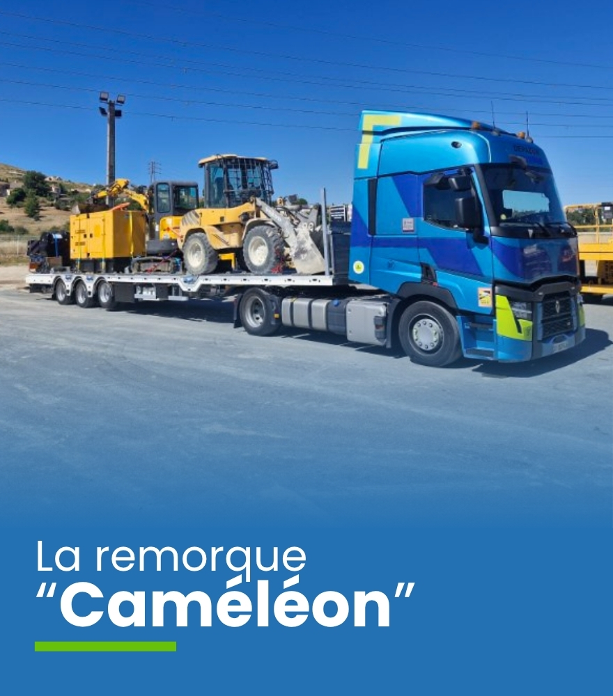 Fiche CAMELEON